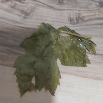 Egeden_81_ile Instagram'da Alınan Dolmalık Yapraklar Sorun Çıkarıyor