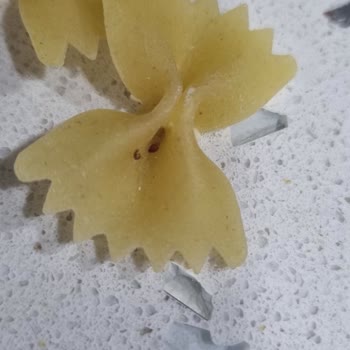 Nuh'un Ankara Makarnası Ankara Marka Makarna Kurtlu Çıktı