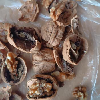 Şok Marketler Bozuk Bir Ürün İade Edilmedi