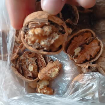 Şok Marketler Bozuk Bir Ürün İade Edilmedi