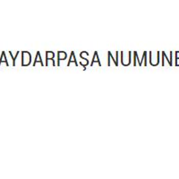 Haydarpaşa Numune Eğitim ve Araştırma Hastanesi Anestezi Doktoru Yönlendirmesiyle Gastroenteroloji Bölümü Randevu Haksızlığı