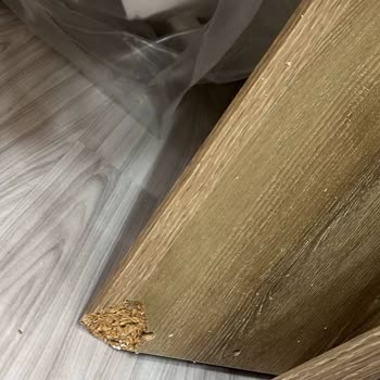 Kelebek Mobilya MASKO Şubesi Vasıfsızlar