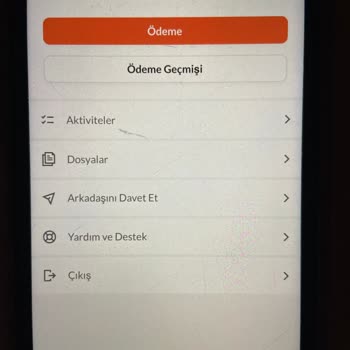 Roamler Türkiye Ödeme Bakiyem Silindi Ödeme Gelmedi