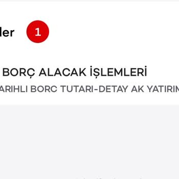 Ak Yatırım Borç Alacak İşlemleri