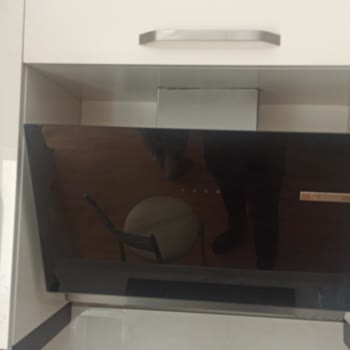 Bosch Teknik Servis Aparatı Takmaması