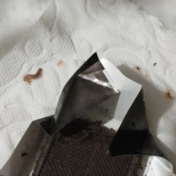 Elit Çikolata Çikolata Kurtlu Çıktı