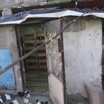 Gdz Elektrik Dağıtım Riskli Elektrik Kablosu Bağlantısı