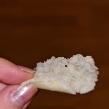 Migros'un Böcekli Sofra Ekmeği