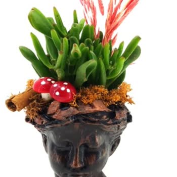 Çiçek Sepeti Sipariş Ettiğim Çiçek Yerine Başka Bir Çiçek Gönderilmiş