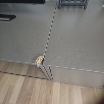 Enza Home Dan Alamadığımız Hizmet