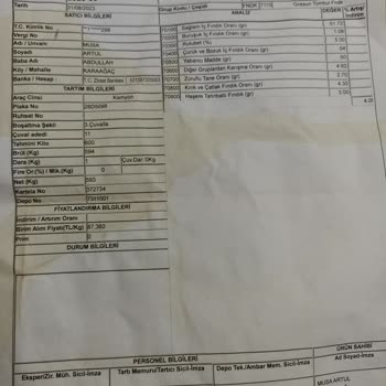 TMO Fındık Üreticisi