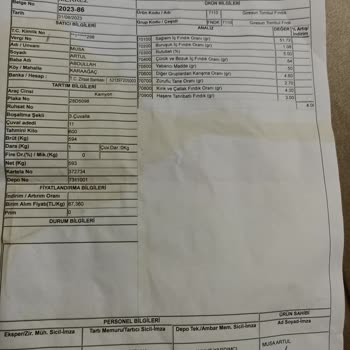 TMO Fındık Üreticisi