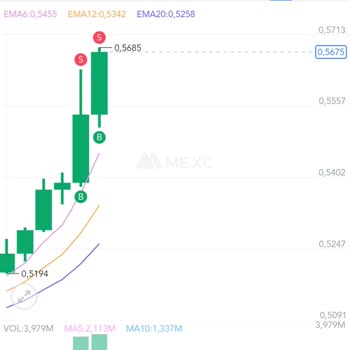 Mexc Kripto Borsası Sorun Yaşama