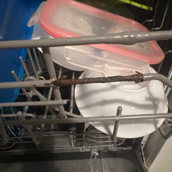 Franke Bulaşık Makinesi Sepet Telleri Paslandı