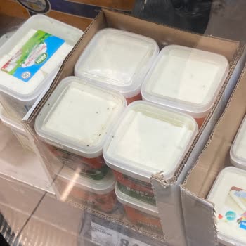 A101 Barbaros Mahallesi Aşkın Sokak Şubesi Çok Düzensiz