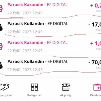 Ef Digital Aldığım Varolant Pini