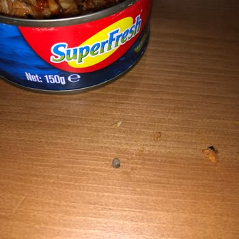 SuperFresh Tahıllı Ton Balığının İçinde Taş
