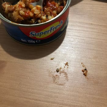 SuperFresh Tahıllı Ton Balığının İçinde Taş
