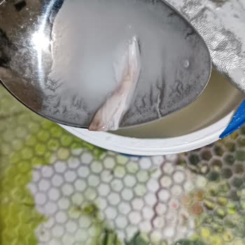 İçim Ayrandan Yumurta Akı Benzeri Bir Şey Çıktı