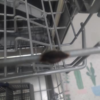 Siemens Size Hiç Yakışmadı...