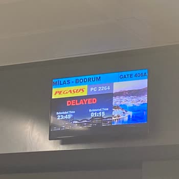 Pegasus Rötar Sorunu