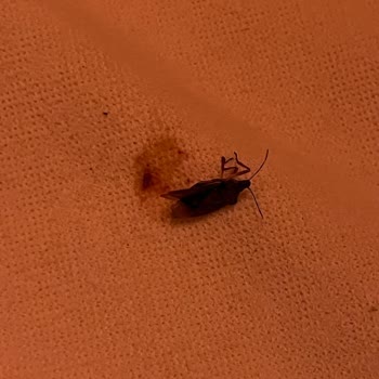 Sapancaotelleri.com.tr Müşteri Haklarına Aykırı!