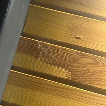 Sapancaotelleri.com.tr Müşteri Haklarına Aykırı!