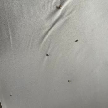 Sapancaotelleri.com.tr Müşteri Haklarına Aykırı!