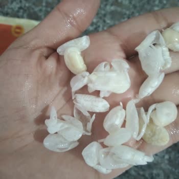 Hasata Derin Kuyu Fasulye Soğuk Suda Dağıldı