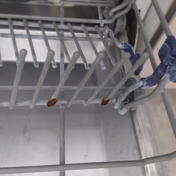 Teka Bulaşık Makinesi Paslanan Sepet