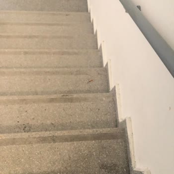Etlik Şehir Hastanesi İçinde Sigara İçen Doktorlar