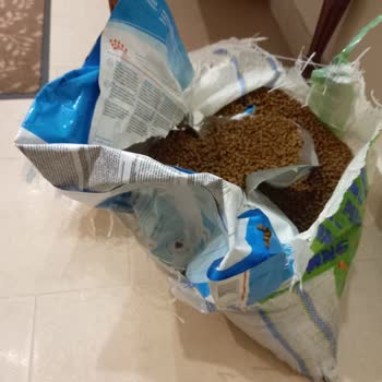 Petzz Shop Sipariş Ettiğimiz Mama Patlak Bir Şekilde Teslim Edildi