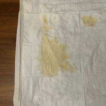 Petzz Shop Sipariş Ettiğimiz Mama Patlak Bir Şekilde Teslim Edildi