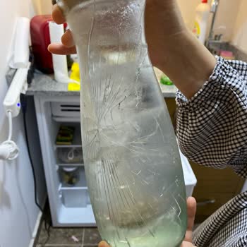 Dijitsu Mini Buzdolabındaki Her Şey Donuyor