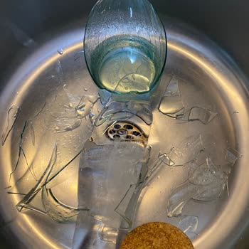 Dijitsu Mini Buzdolabındaki Her Şey Donuyor