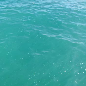 Crystal Hotels Flora Beach Hotel Deniz Kirliliği