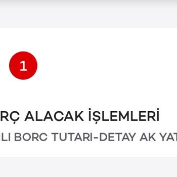 Haksız Kesinti. Bilgi Ve Açıklamanın Olmadığı Ak Yatırım Borç Alacak