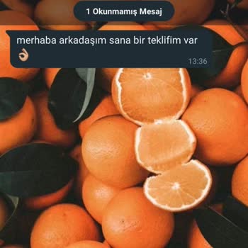 WhatsApp Bilinmeyen WhatsApp Hattından Mesaj