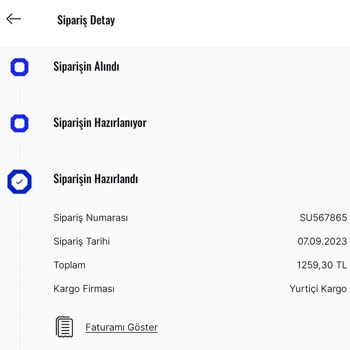 Sneaks Up Geri Ödeme Problemi