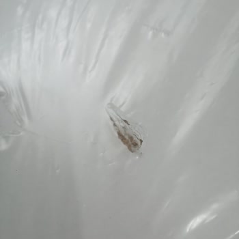 Lüleburgaz Vivense Hasarlı Ürün!