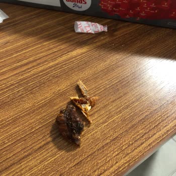 Donas İçinden Yanmış Tavuk Cıktı