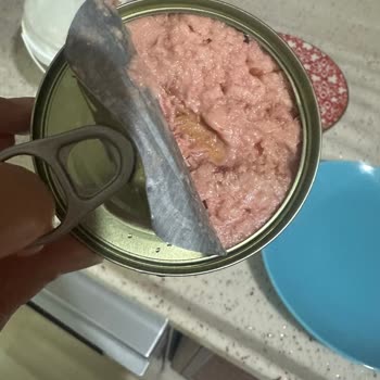 Superfresh Ton Balığı Bozuk