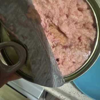 Superfresh Ton Balığı Bozuk