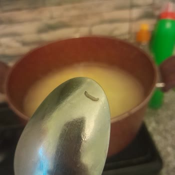 Nuh'un Ankara Makarnası Makarnadan Kurt Çıktı