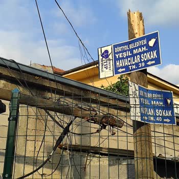 Türk Telekom Kablo Kopukluğu Ve Direk Kırılması