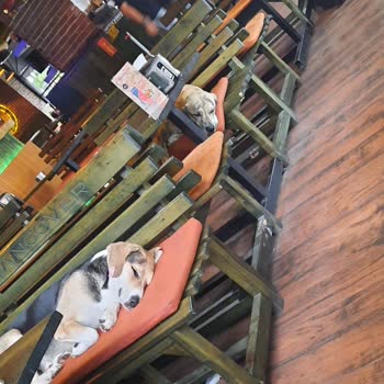 Hangover Central Hotel Hangover Otel Eskişehir Kalitesiz