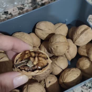 A101 De Çürük Küflü Ve Kurtlu Ceviz