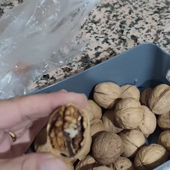 A101 De Çürük Küflü Ve Kurtlu Ceviz