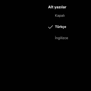 Netflix Aldığın Paranın Hakkını Ver