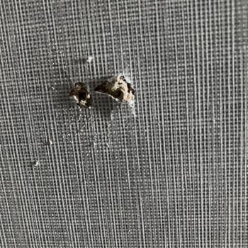 Meksa Yapı Özensiz İşçilik, Müşteriye Bağıran Ofis Çalışanları